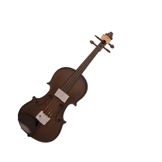 FirstOctave Maple Dotted Model Violin Dark Chocolate Matt