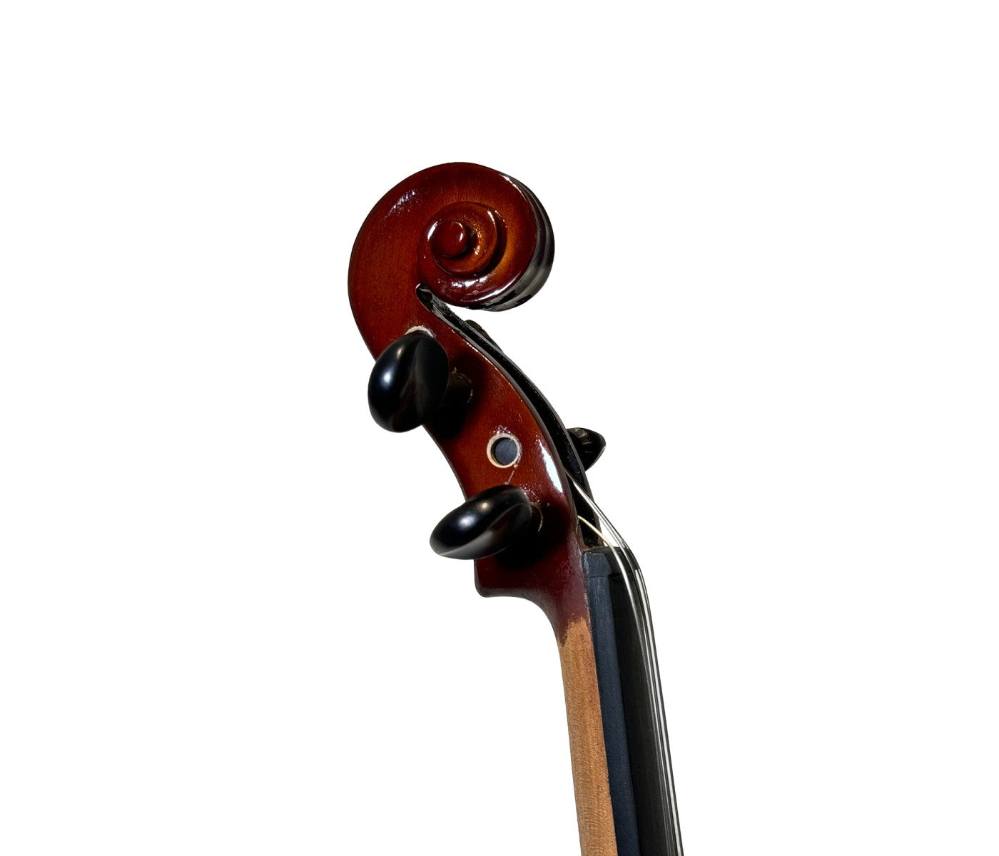Hofner Alfred Sting (AS-060) 4/4 Violin