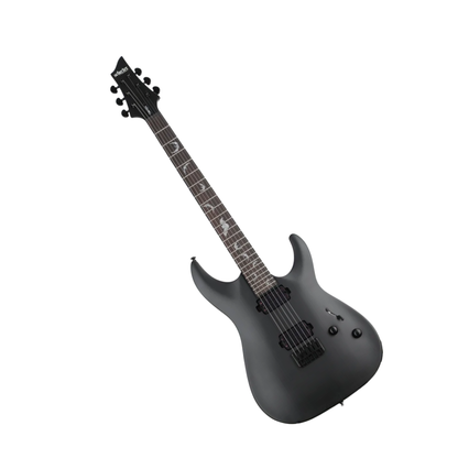 Schecter Damien-6 SBK Electric Guitar