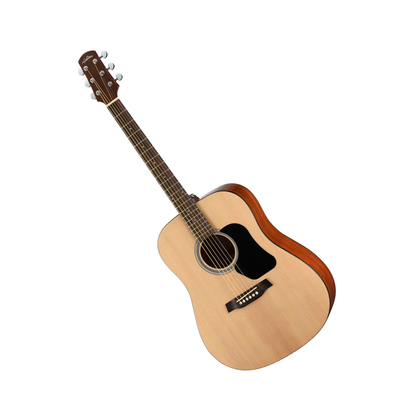 Walden D350 Dreadnought Guitar