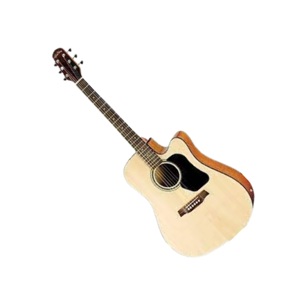 Walden Natural D350CE/W