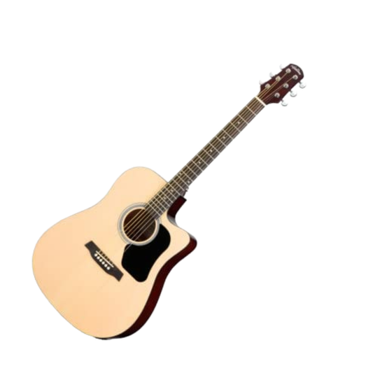 Walden Natural D350CE/W