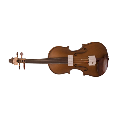 FirstOctave Maple Dotted Model Violin Dark Brown Matt