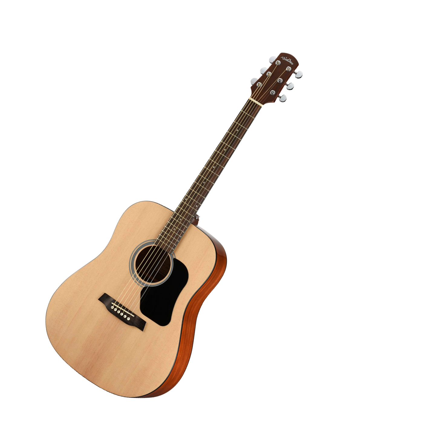 Walden D350 Dreadnought Guitar