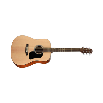 Walden D350 Dreadnought Guitar