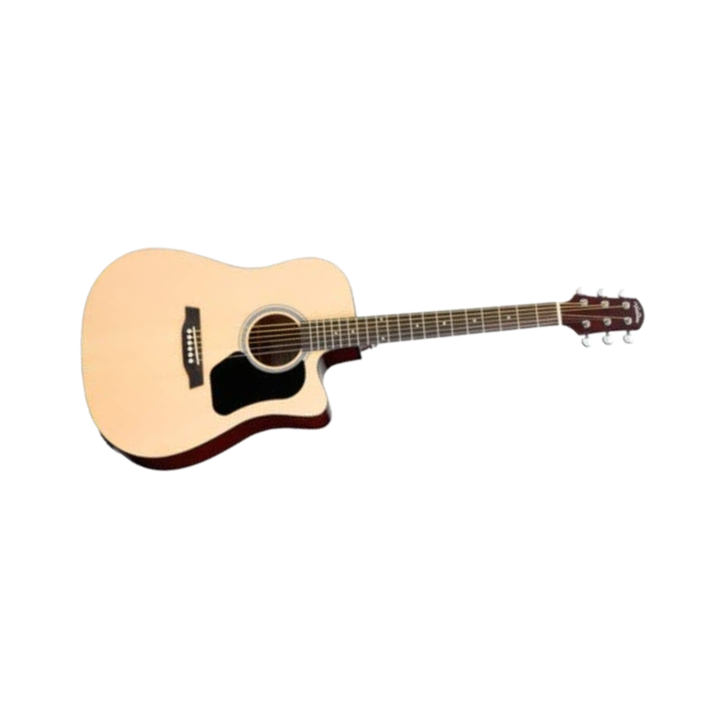 Walden Natural D350CE/W