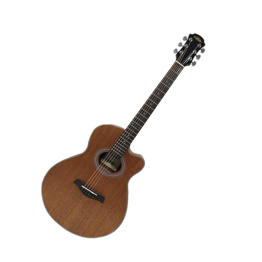 Aria FET M2 Meranti Thin-Body Cutaway Acoustic Guitar- Fingerboard: Ironwood