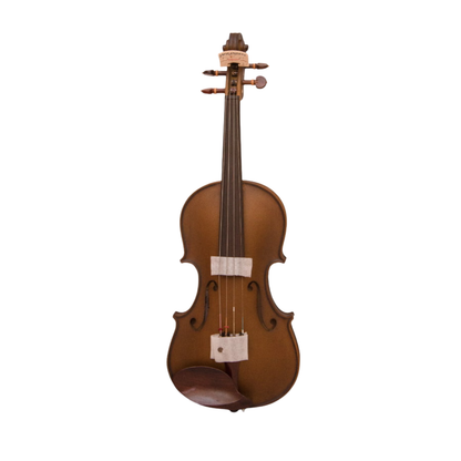 FirstOctave Maple Dotted Model Violin Dark Brown Matt