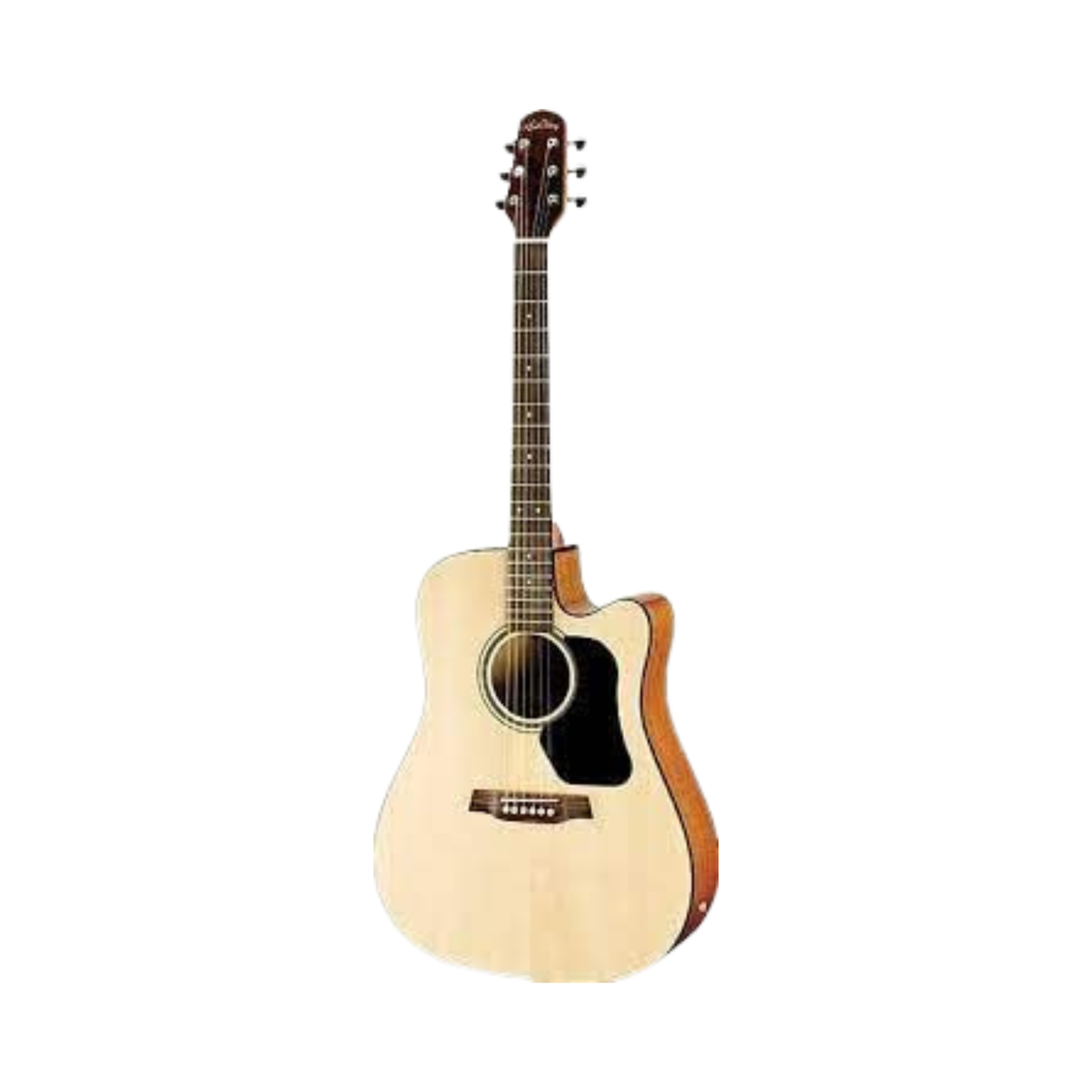 Walden Natural D350CE/W