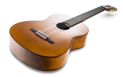 Yamaha Classical Guitar C40//02 and Yamaha Classical Guitar C40